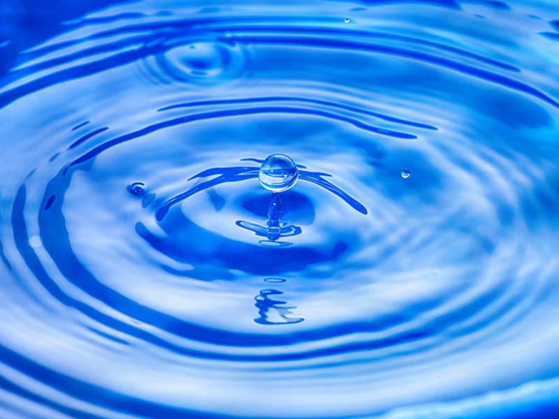 生物毒性水质在线监测仪