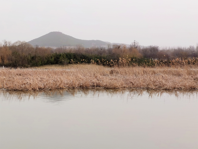 水质氨氮检测的国标