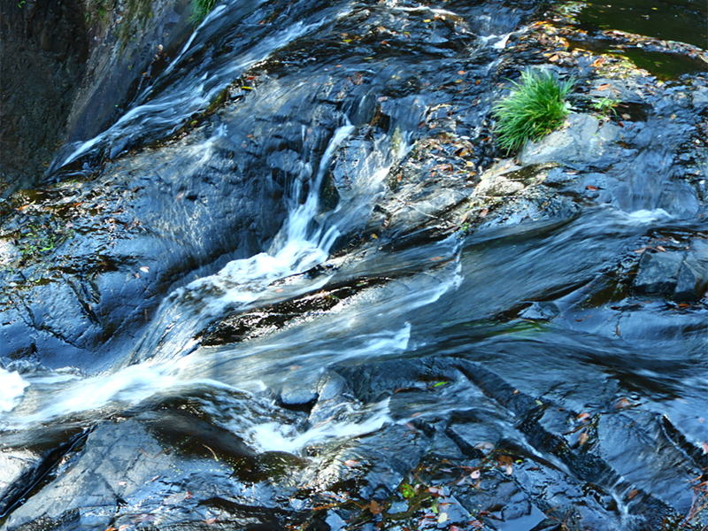 水质重金属检测方法