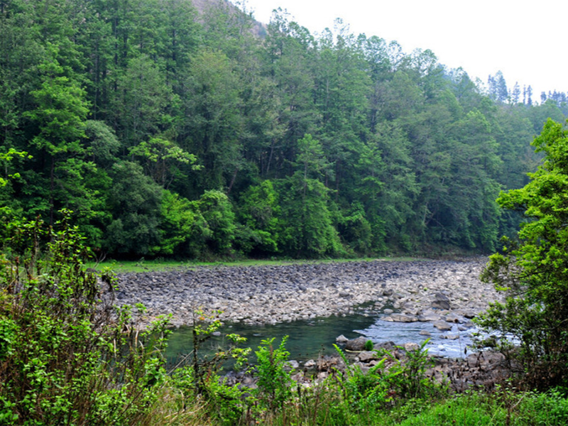 山西污水处理厂氨氮排放标准