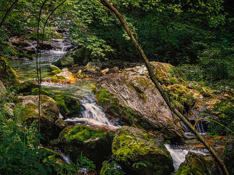 水产养殖二氧化氯的正确用法