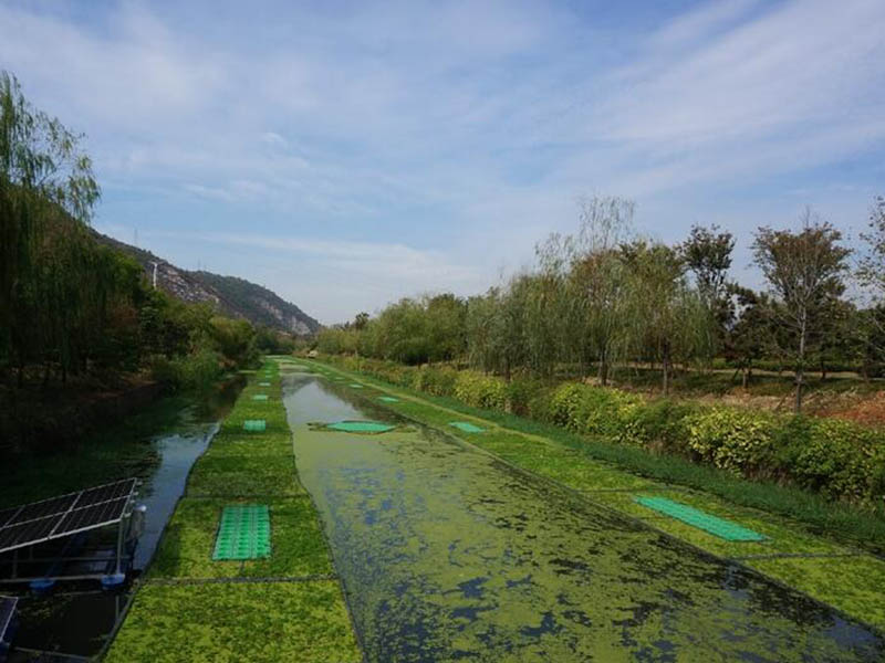 水产养殖中氨氮亚硝酸盐如何降解