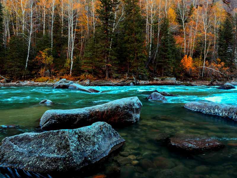 全国开展水生态监测是趋势