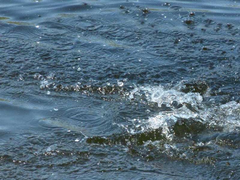 医疗污水是怎么处理的