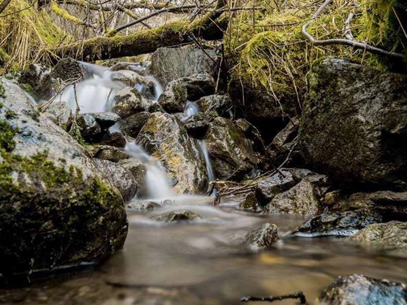 便携COD氨氮检测仪助力废水检测