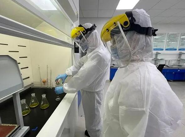 污水厂是如何运行的