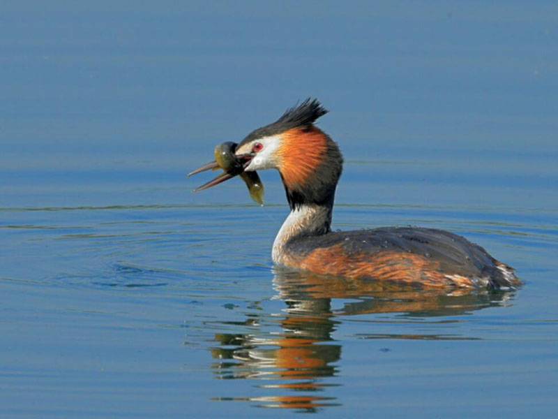 水质监测在水产养殖中的重要性