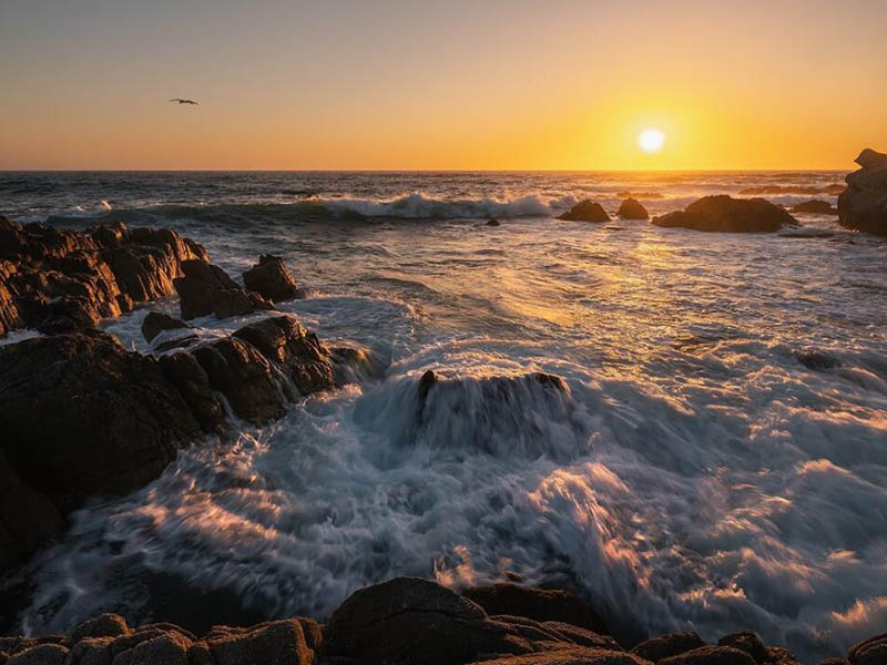 高锰酸盐指数是什么