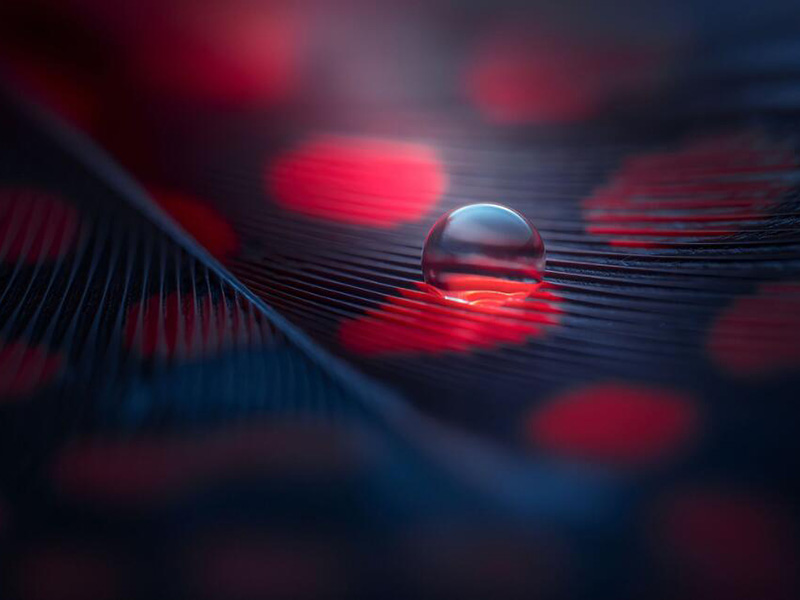 如何选择合适的水质检测仪