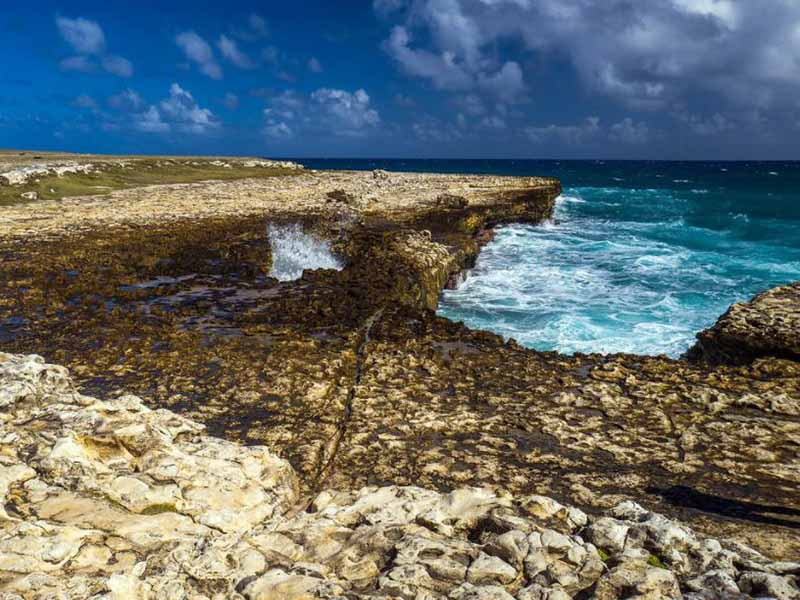 水质COD检测常见的问题有哪些