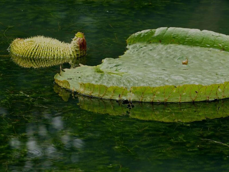 水质检测仪在水产养殖中的应用