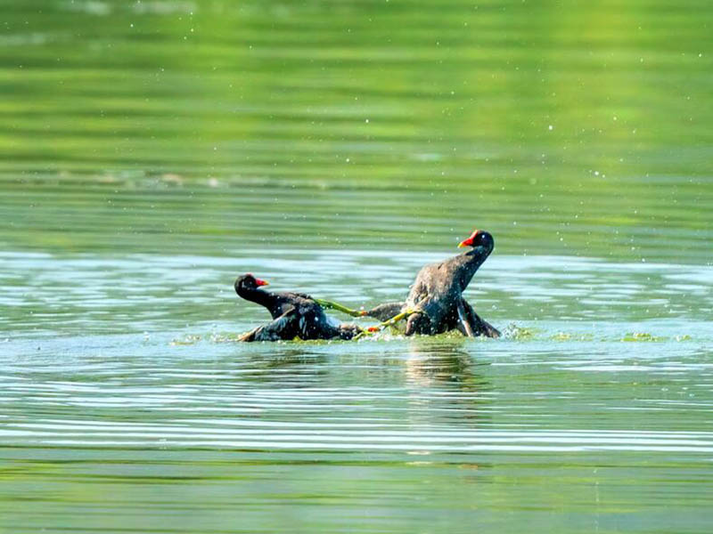 长江黄河流域地表水水质检测结果公示