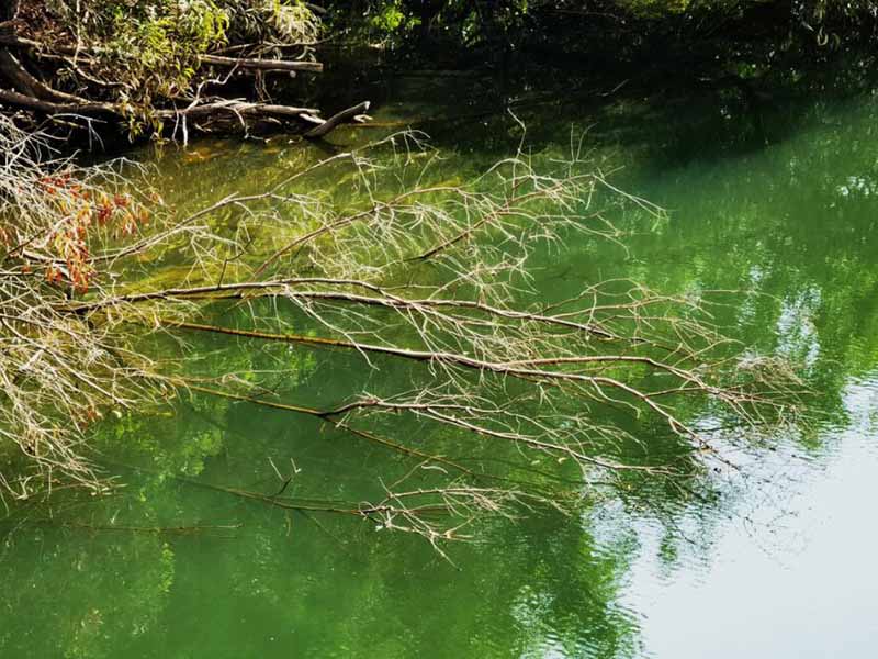 水中氨氮检测有哪些预处理方式