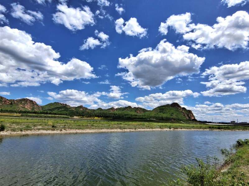 COD在线监测设备的工作原理