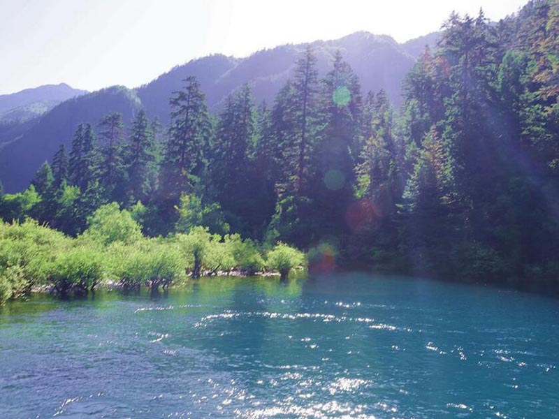 废水氨氮和COD超标怎么去除