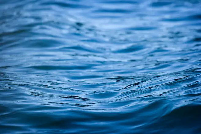 水质对生命和人类的重要意义