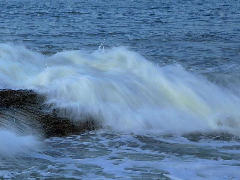 水中微生物检测仪的测定原理