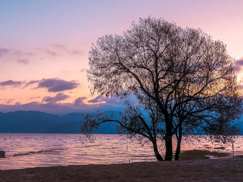 水质BOD检测仪如何使用