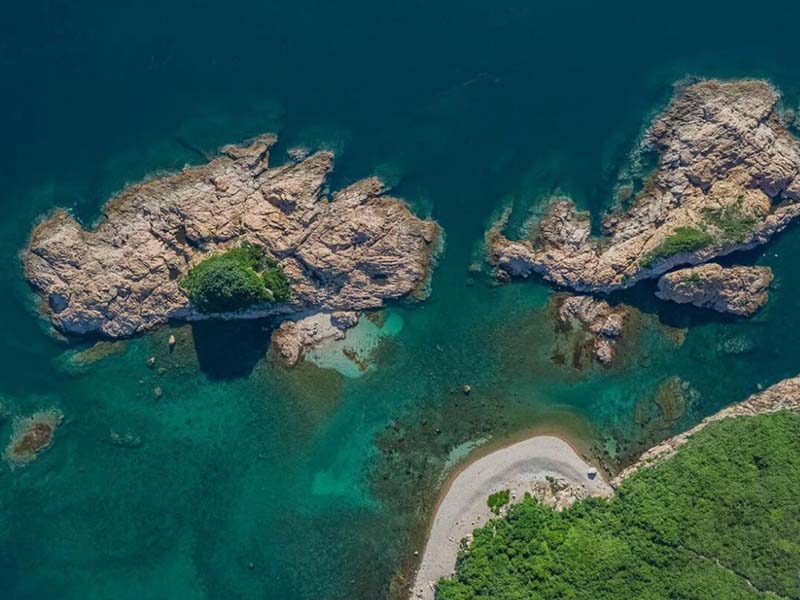 污水什么情况下氨氮比总氮高