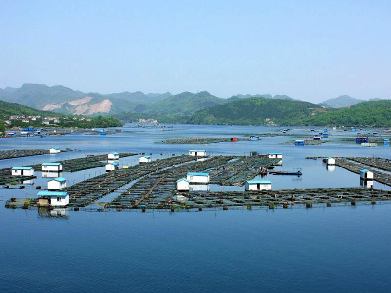 水产养殖需要检测哪些水质指标