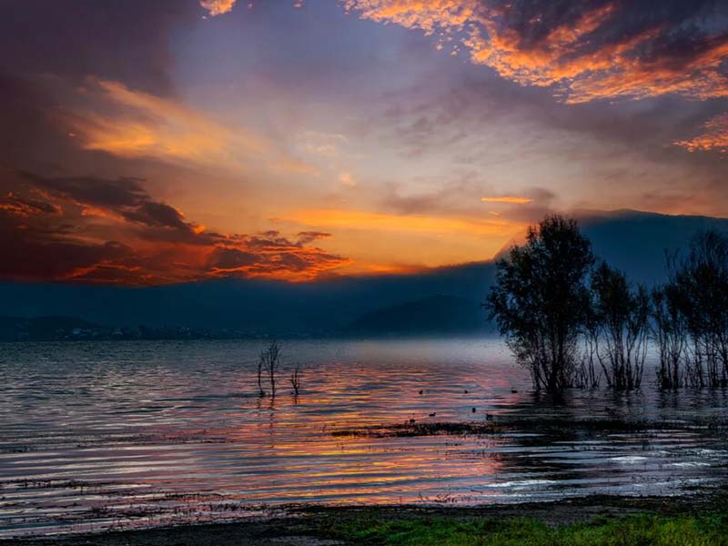 【解答】知道COD含量，如何确定BOD稀释倍数? 