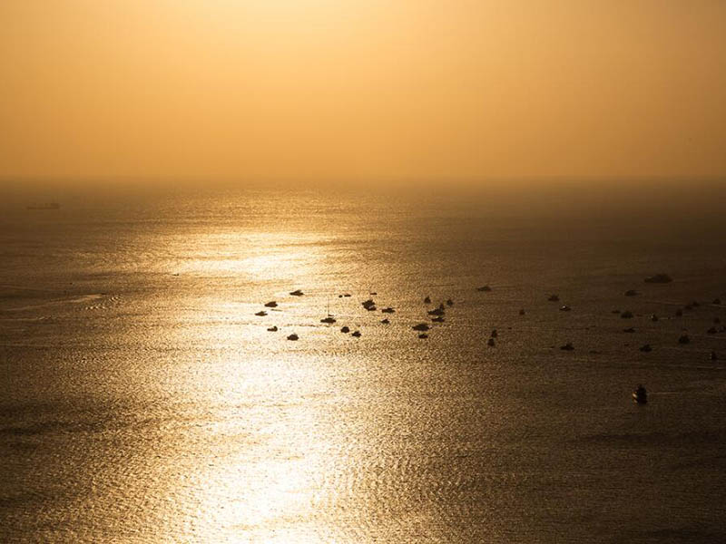 水质微生物检测仪原理依据