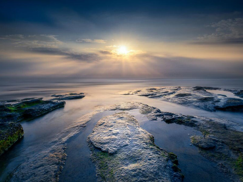 什么是全自动红外测油仪