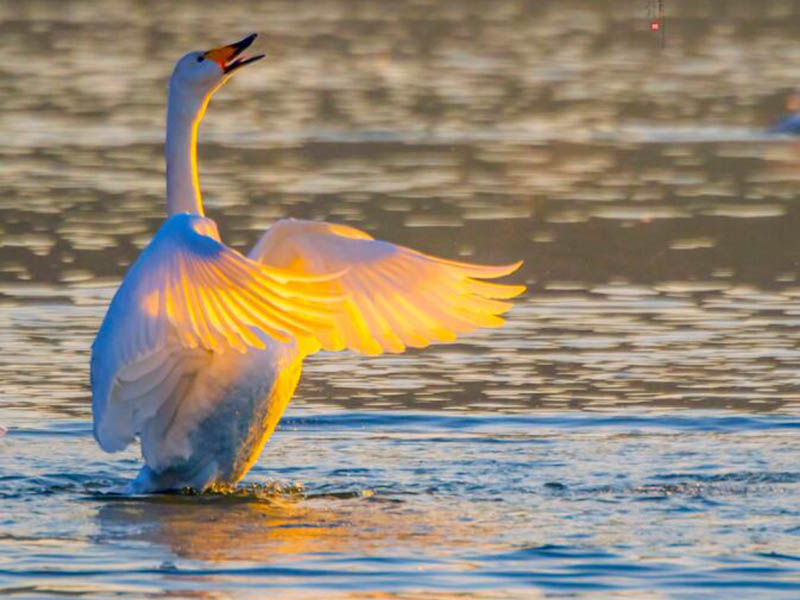 COD氨氮总磷总氮测定仪常见故障