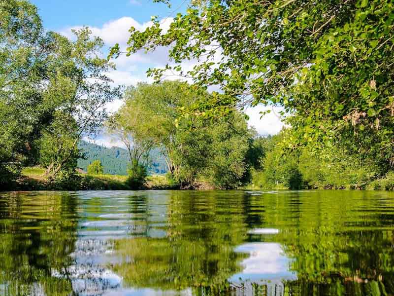 COD测定仪测空白值一般多大