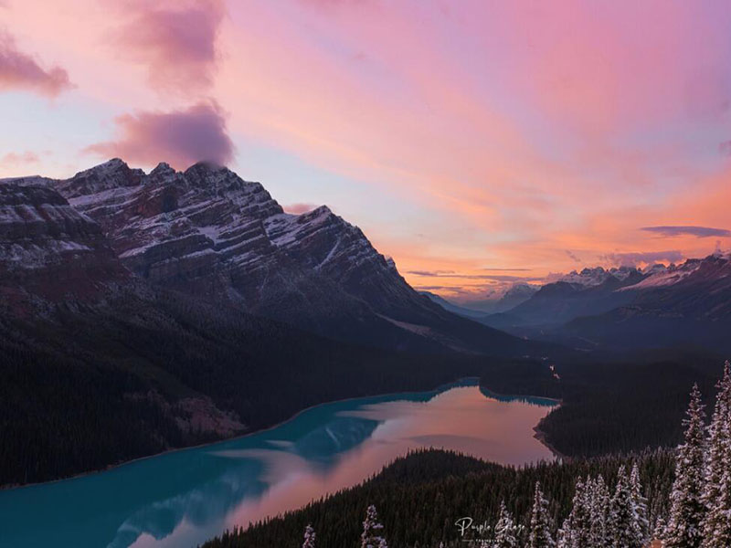 COD在线分析仪硬件故障分析