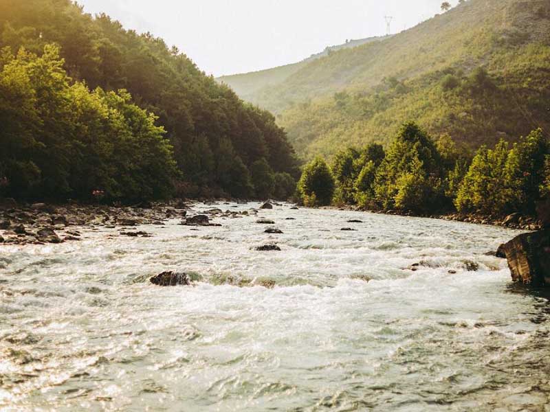 水中溶解氧测定的影响因素