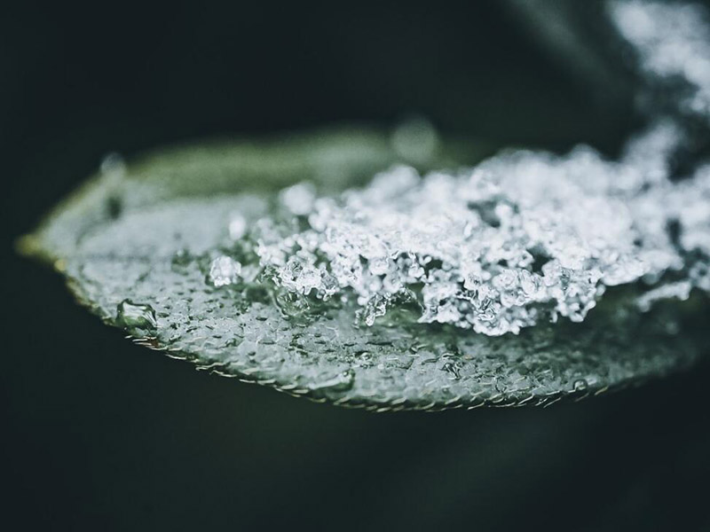 水质检测中为什么需要消解仪