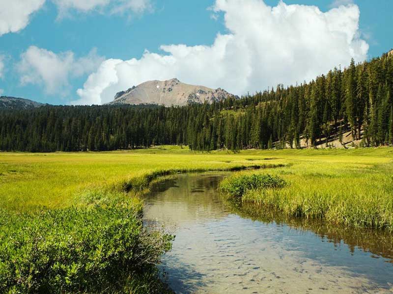 如何选购水质硫化物酸化吹气仪