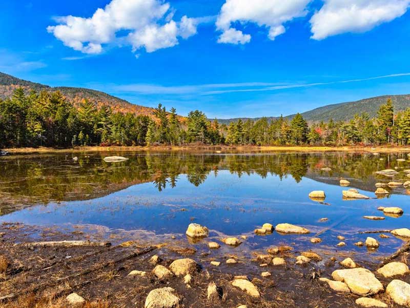 水质微生物的检测方法