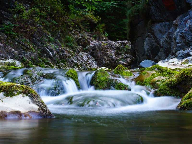 水质高锰酸盐指数和COD有什么关系