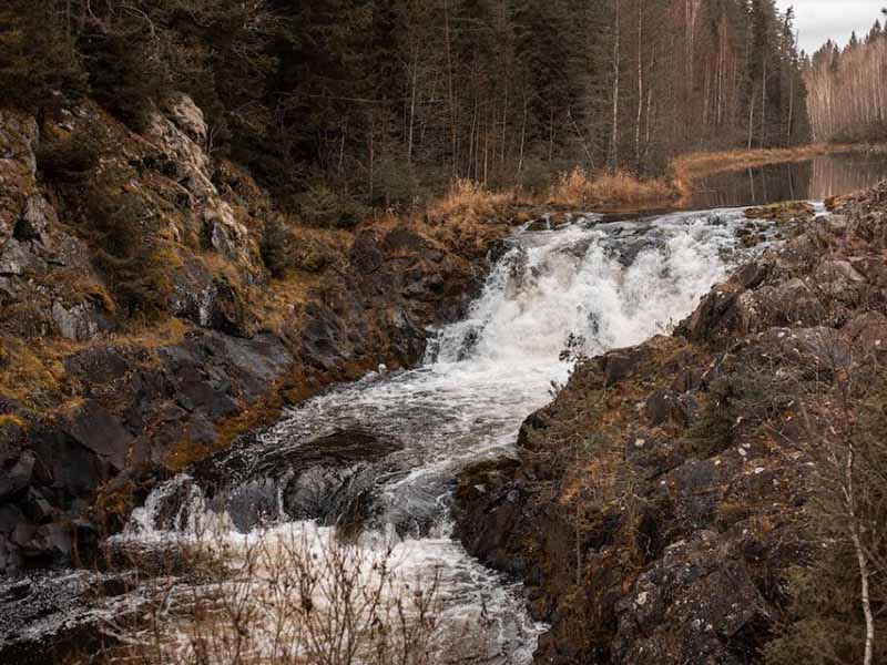 水质微生物检测仪功能