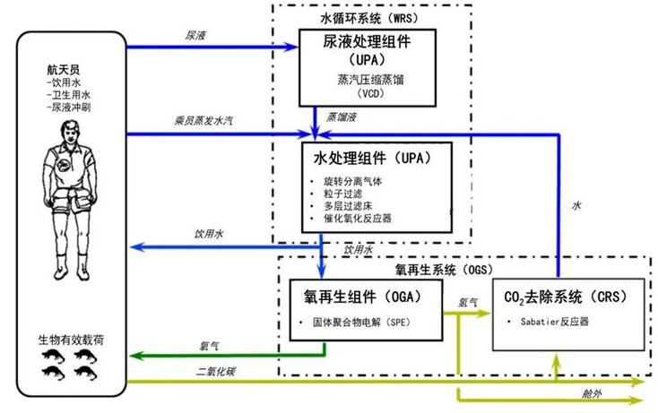 揭秘《流浪地球2》中宇航员在太空中的饮水从哪儿来