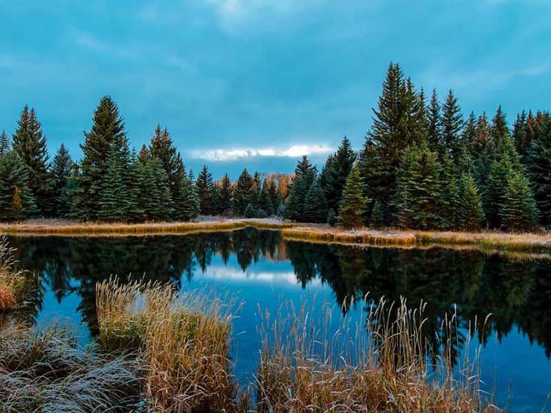 多参数水质检测仪的作用