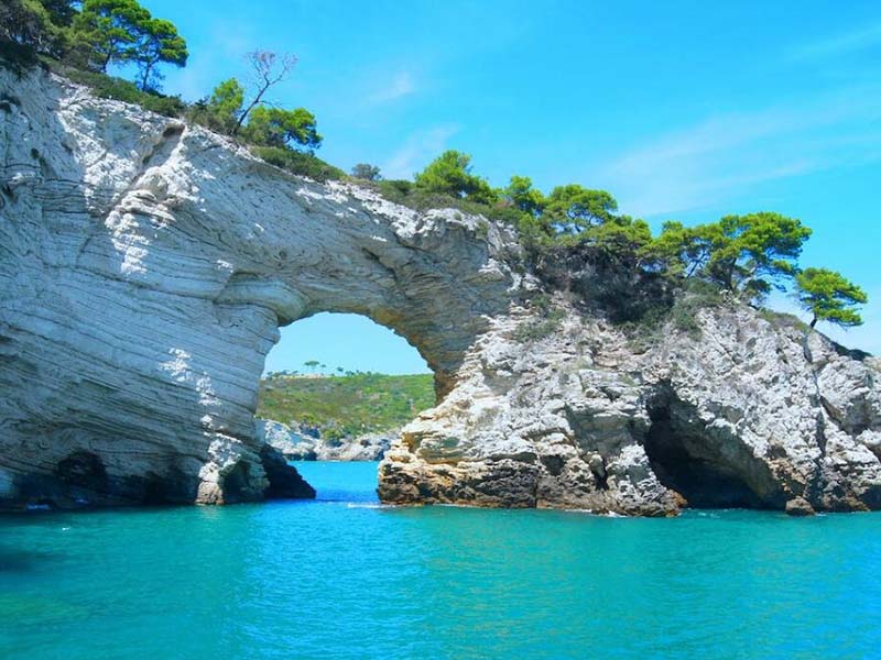 总氮快速检测仪如何记录数据