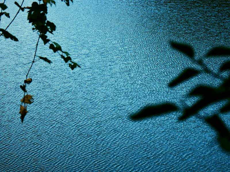 9参数水质检测仪工作原理