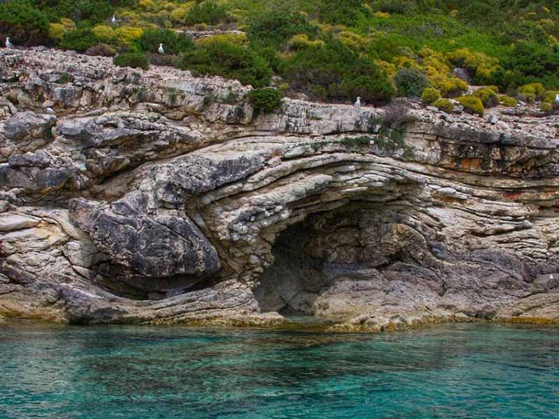 总有机碳分析仪测定原理