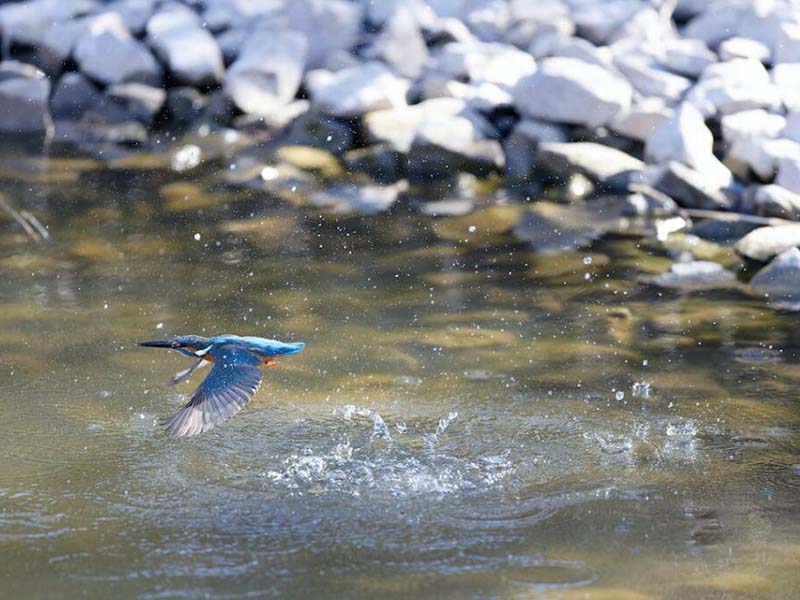总磷分析仪测量原理