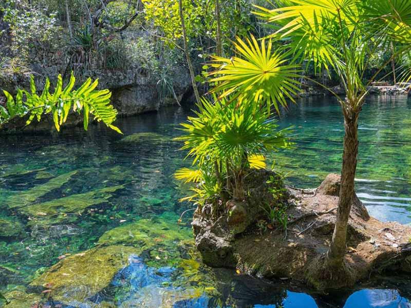 氨氮在线监测设备测量值为零的原因