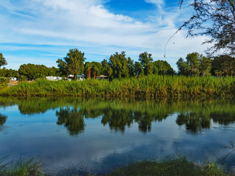 【汇总】水质COD在线监测仪方法大全