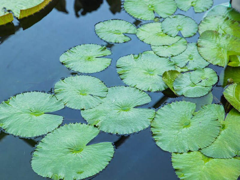 COD测定仪如何操作