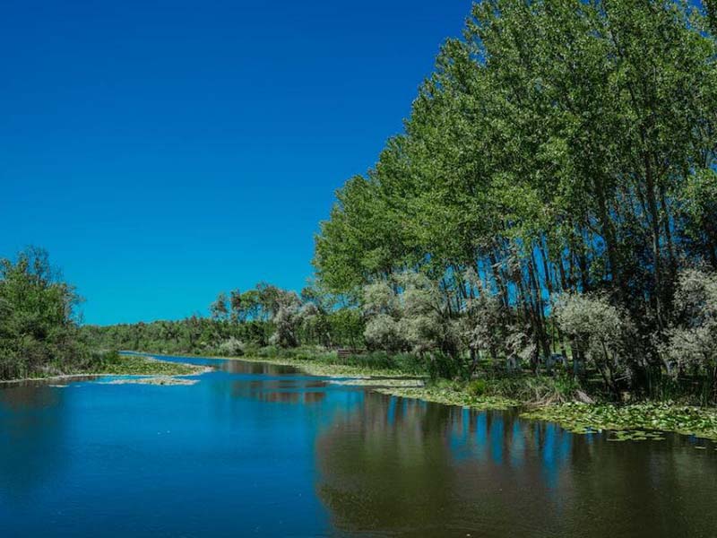 水质氰化物测定仪依据标准