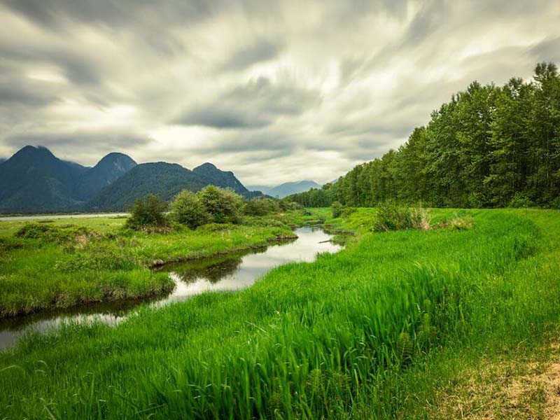 污水氨氮浓度如何测定