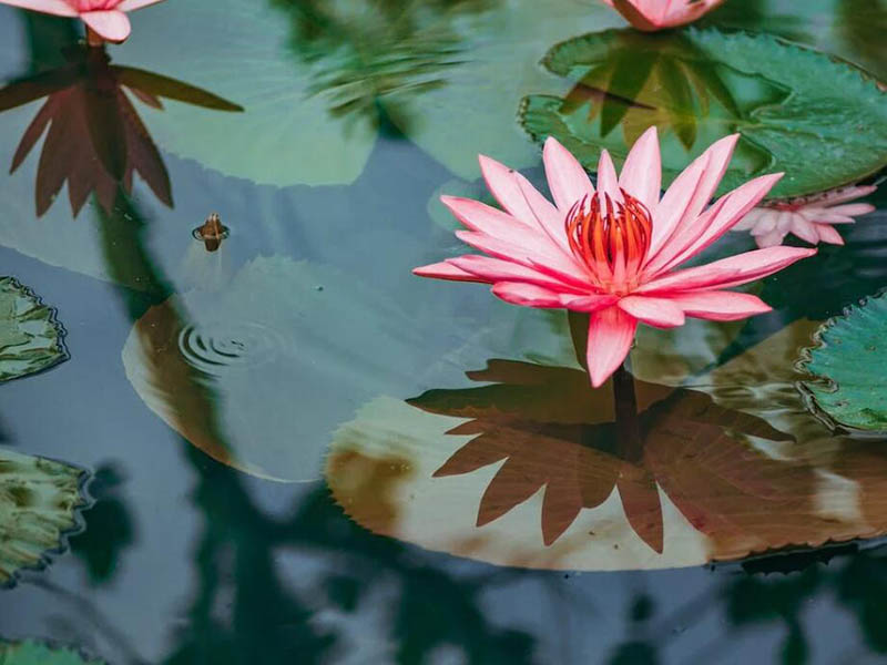 总磷检测仪使用常见问题及原因