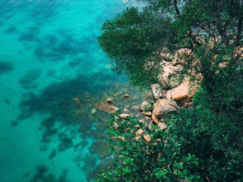 地表水环境质量总氮为什么不参与评价