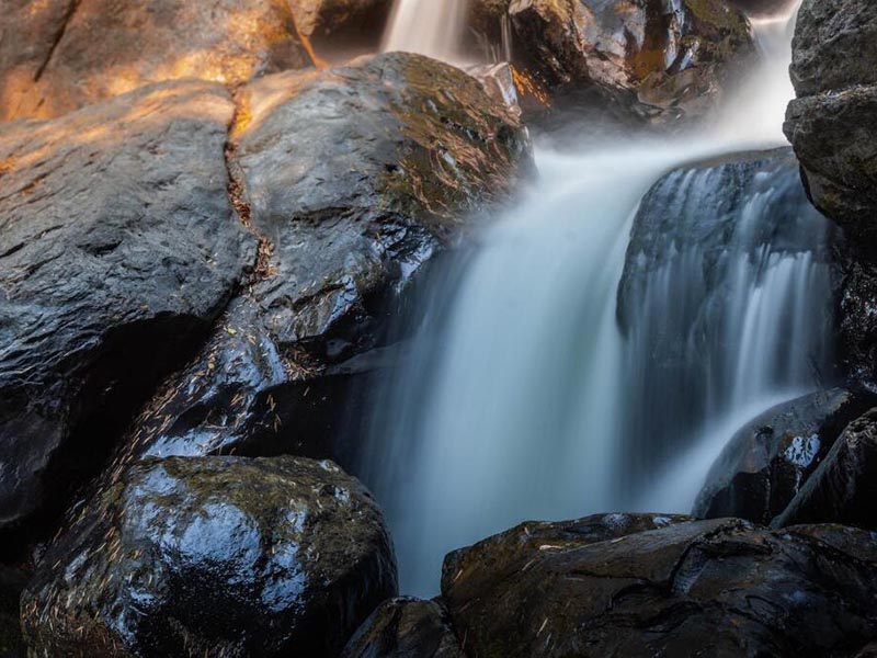 为什么要检测污水COD含量